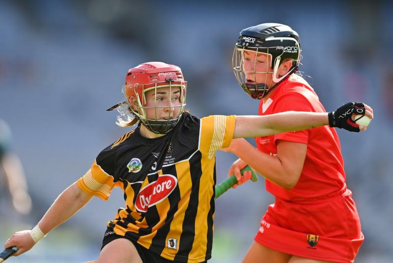 2022 Year in Review- A season of All-Ireland glory for Kilkenny GAA