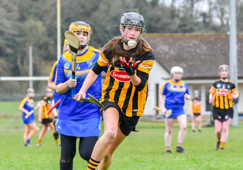 Kilkenny Minor Bs claim big win over Wicklow