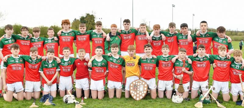 Kilkenny GAA- Hurling F&eacute;ile proves to be a big hit