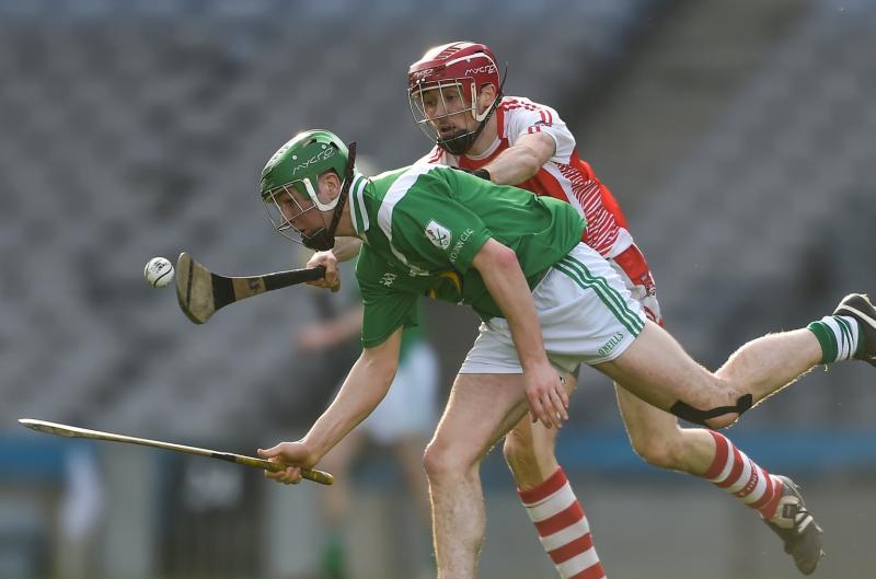Preview- Toughest test of the season awaits Mooncoin’s hurlers