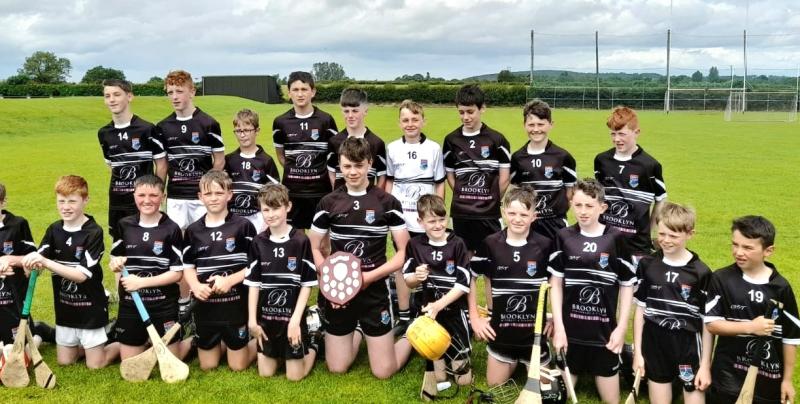 Mullinavat claim Under 13 Roinn B Hurling League success