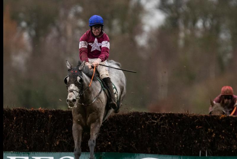 Top class entry for this weeks Thyestes Chase at Gowran Park