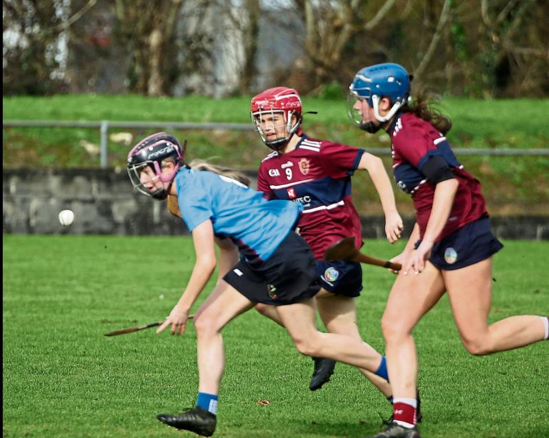 Colleges Camogie- Late  Brett winner helps Callan School to All-Ireland Final