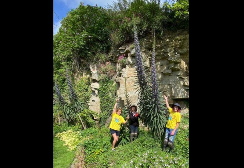 Biodiversity garden Thomastown 