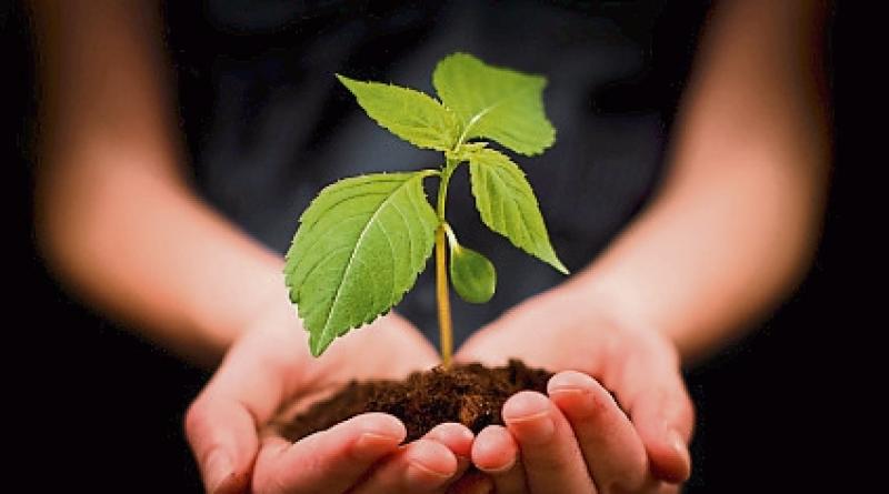 IFA to hold National Horticulture Meeting