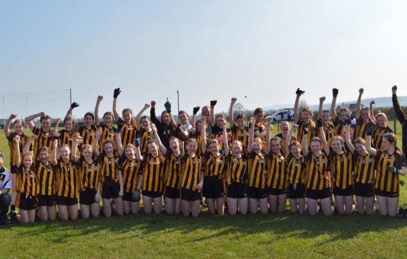 Kilkenny Under 14's claim Leinster football title