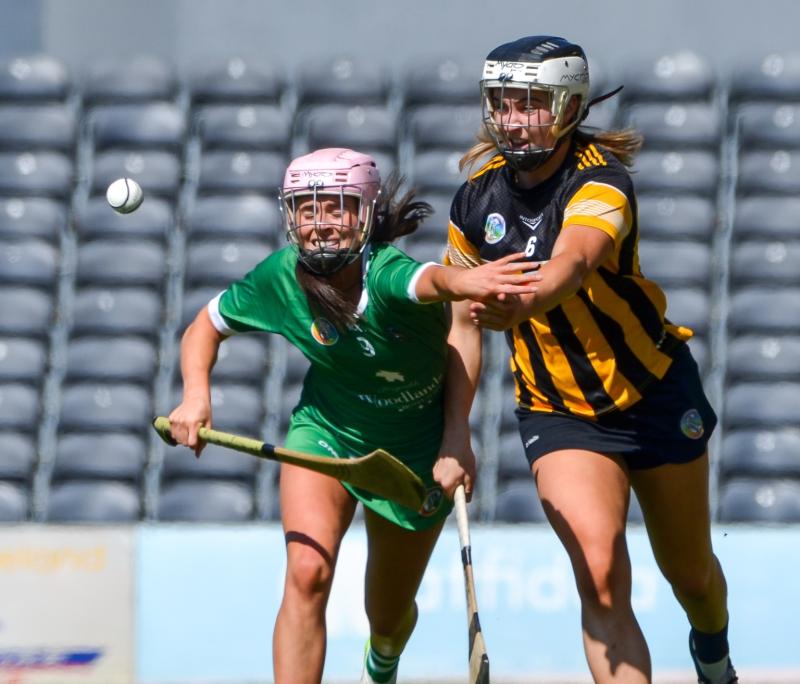 Camogie- Kilkenny cruise to impressive victory over Limerick in Senior Championship