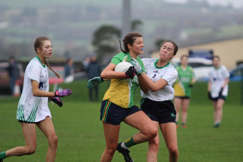 Leinster Final proves a step too far for gallant Muckalee