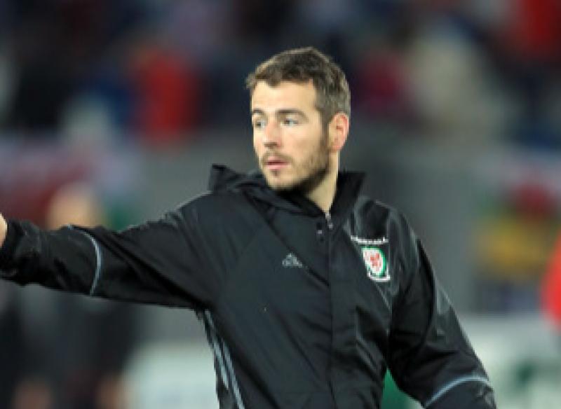 Wales reach first World Cup Finals in 64  years and they have a Kilkenny connection