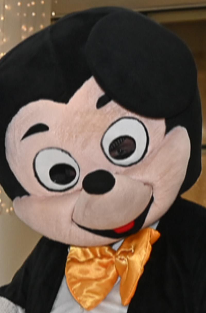 GALLERY: Kilkenny politician dresses up as iconic cartoon character in support of local charity 