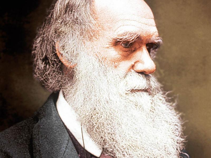 All are welcome to talk on Charles Darwin to be held in Kilkenny