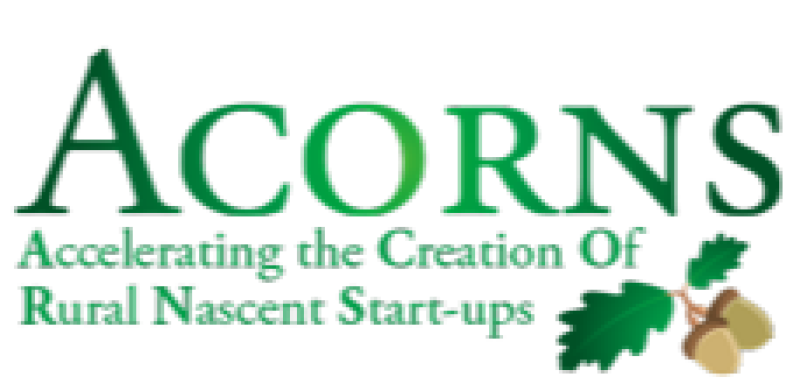 Call for female entrepreneurs in rural Kilkenny to apply for ACORNS 