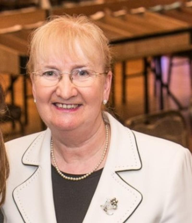 Introduce a grant aid scheme for rain water harvesting - Kilkenny councillor