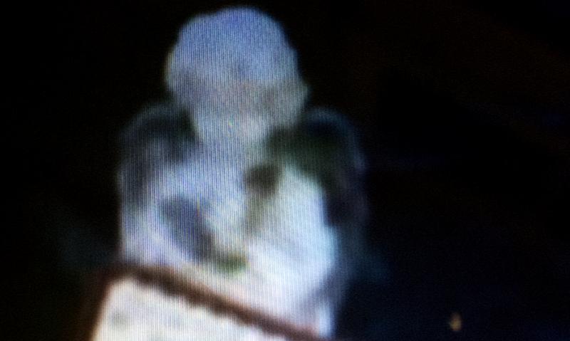 Family distraught after angel statues removed from grave in Kilkenny