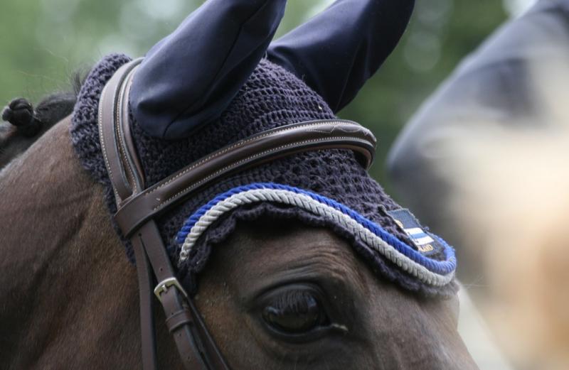 Kilkenny duo take part in International Pony Showjumping competition.