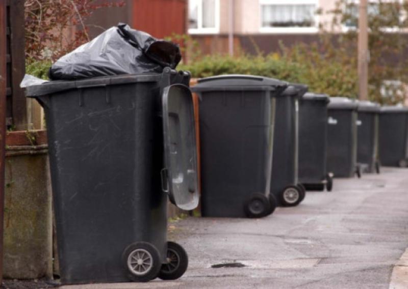 one third of food is thrown away by Kilkenny households