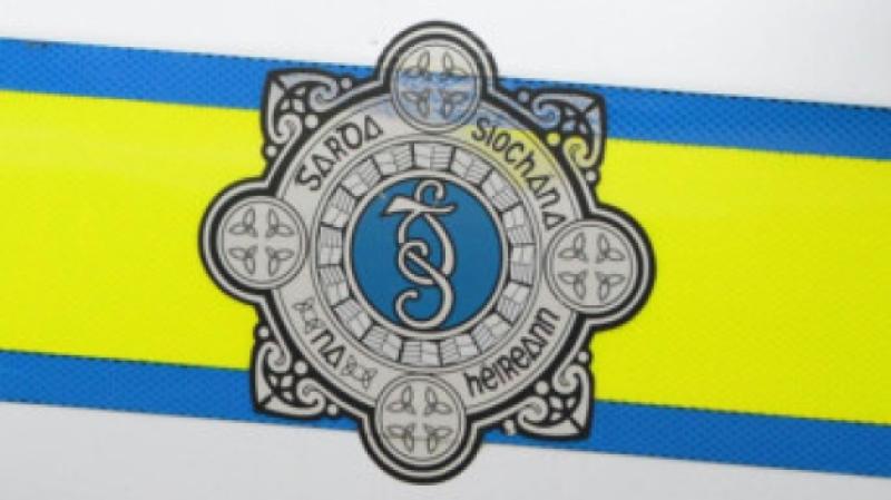 Kilkenny gardaí use technology to make city arrest with culprit still in custody 