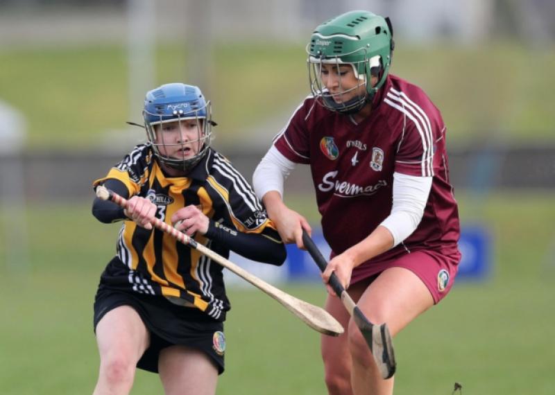 Michelle Quilty (Kilkenny) drives past Heather Cooney (Galway) during Sunday's National Camogie League Division One clash. Photo: Lorraine O'Sullivan