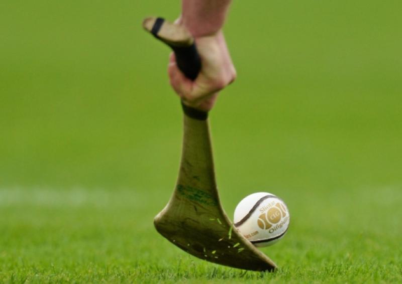 ICYMI: Limerick hurling star spotted in Kilkenny shopping centre 