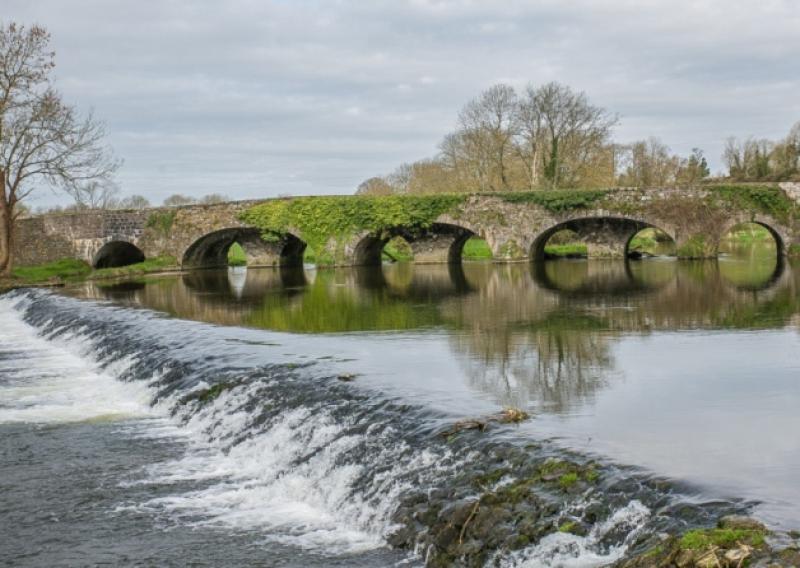 Downstream of Kells bridge with its five arches. Photo taken from Mullins' Mill by Pat Moore.