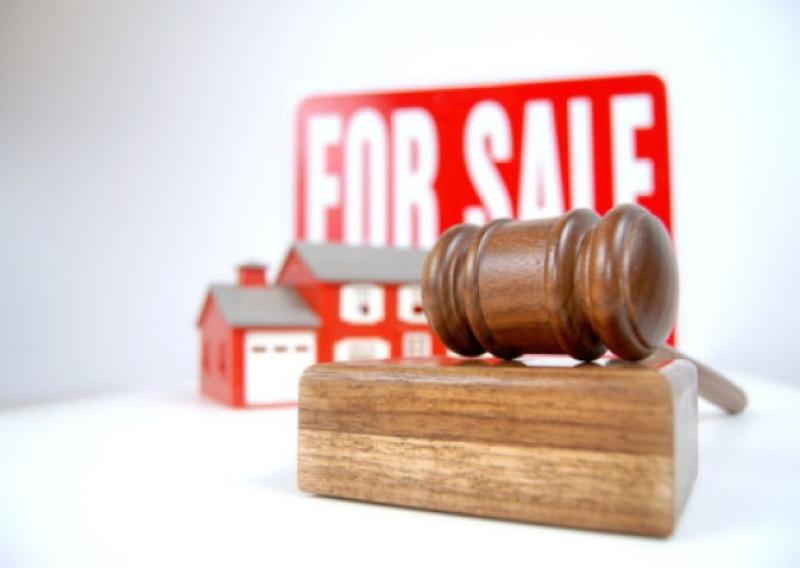 Lots of bidding at land leasing auction in Kilkenny
