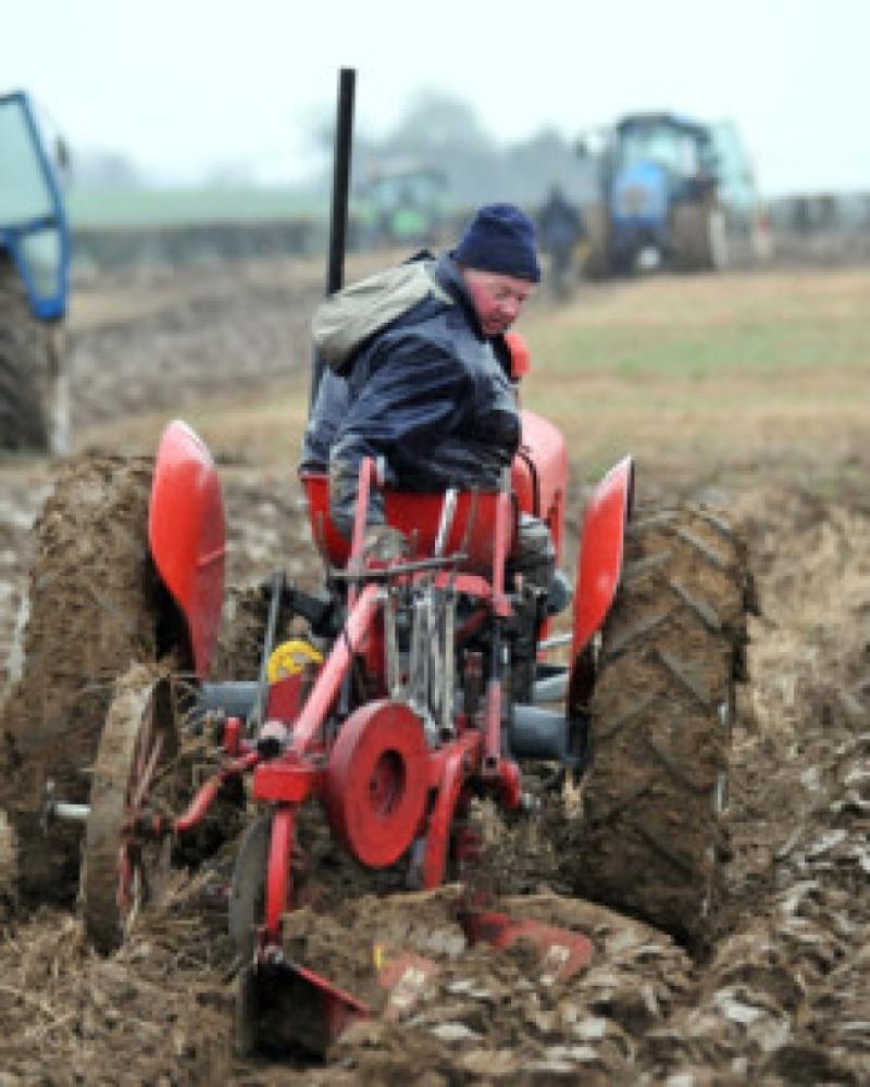 Tommy Cullen, Danesfort in action at the Danesfort Ploughing competitions. Picture: Michael Brophy.