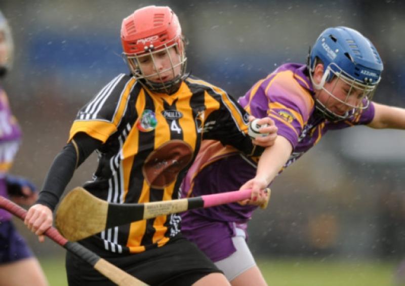 Jacqui Frisby (Kilkenny) fends off Fiona Rochford (Wexford) during Sundays national camogie league Division One semi-final. Photo: Caroline Quinn