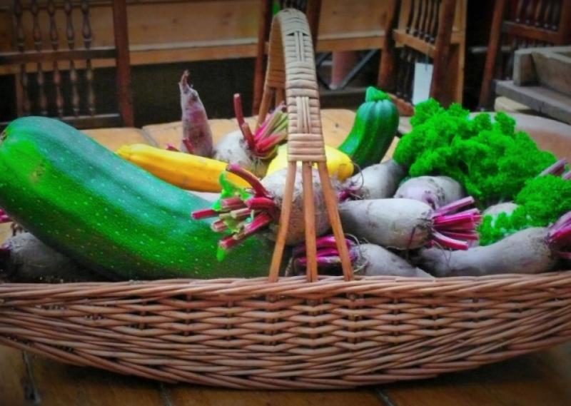 Learn about growing vegetables at Goresbridge community garden
