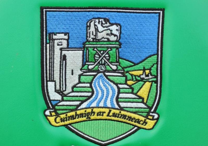 Limerick hurling star meets locals in Kilkenny shopping centre