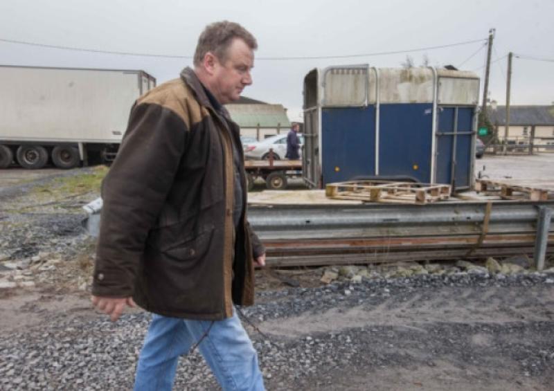 Being escorted from the grounds of B & F Meats passing a horsebox on the way. Photo: Pat Moore.