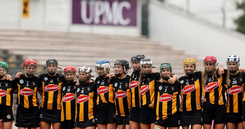 Wexford reel in Kilkenny camóige champs to share the spoils