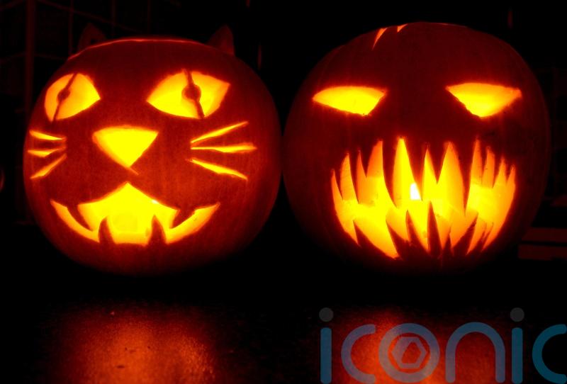 Insurer urges Kilkenny households to 'be on their guard' during Halloween 