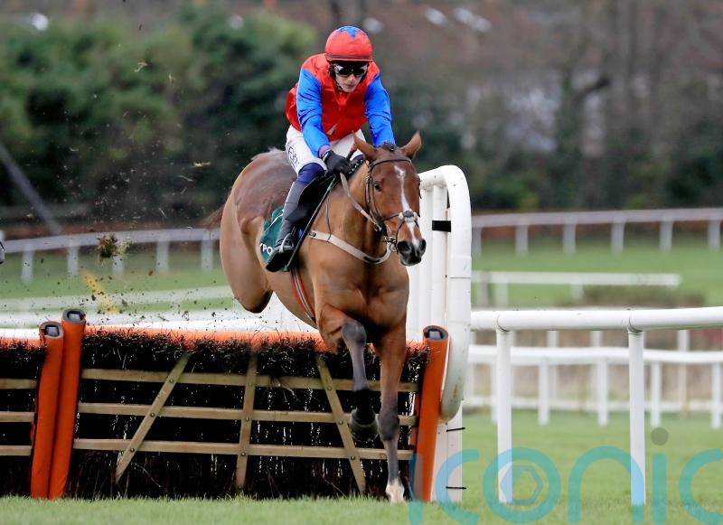 Facile Vega earns praise from Kilkenny trainer Willie Mullins after conquering display