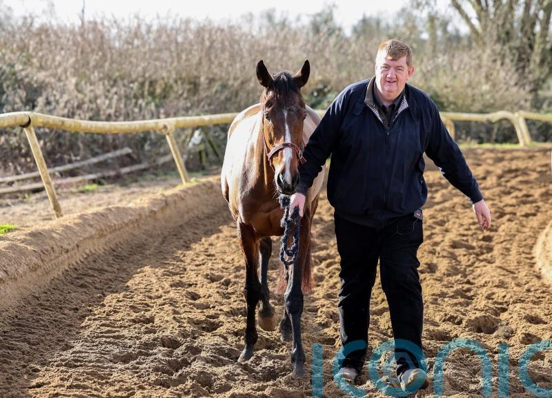 Hanlon poised for epic celebration should Kilkenny-bought Hewick realise Cheltenham dream