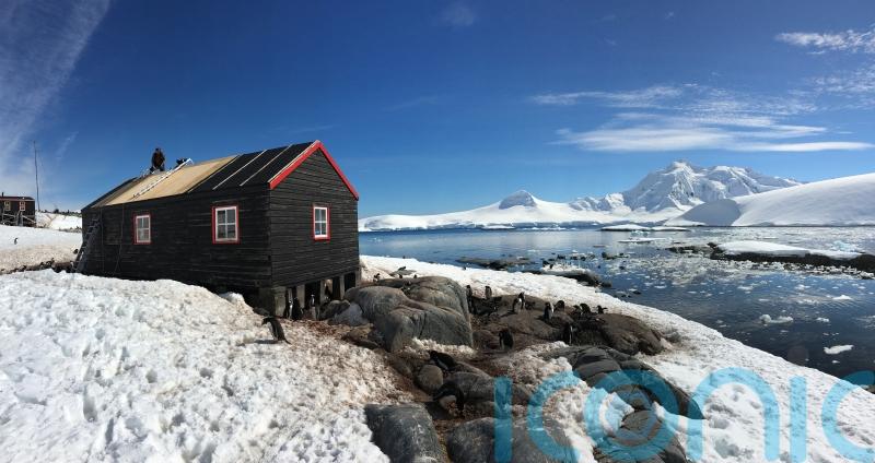Recruits wanted for ‘opportunity like no other’ counting penguins in Antarctica