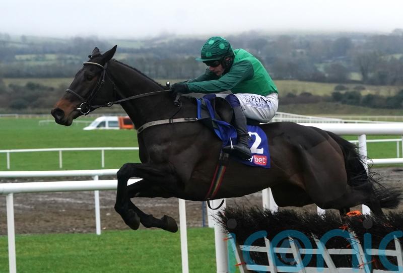 Impaire Et Passe leads Willie Mullins’ Ballymore charge at Cheltenham - Kilkenny Live