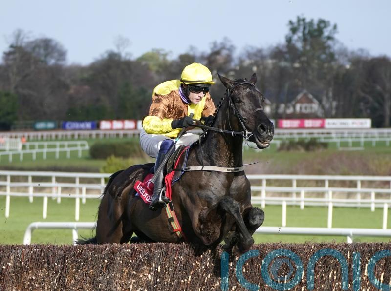 Galopin Des Champs tops Gold Cup field - Kilkenny Live