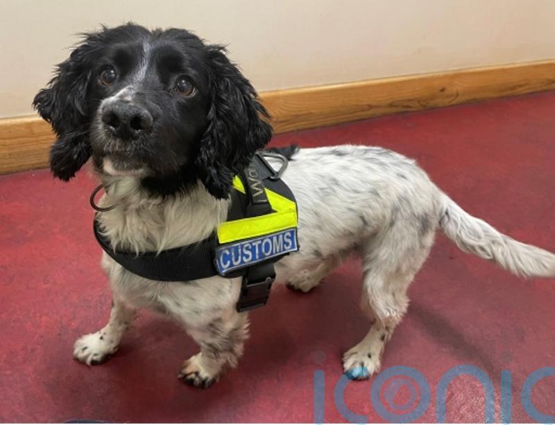 Man arrested after cocaine worth 2.4m euro seized in the South-East - Kilkenny Live
