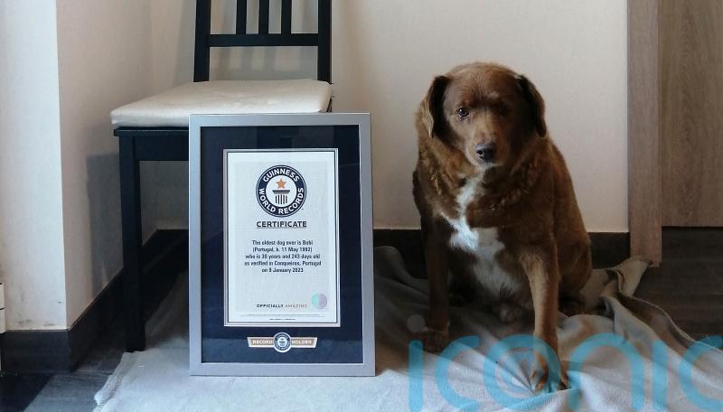 World’s oldest dog celebrates birthday