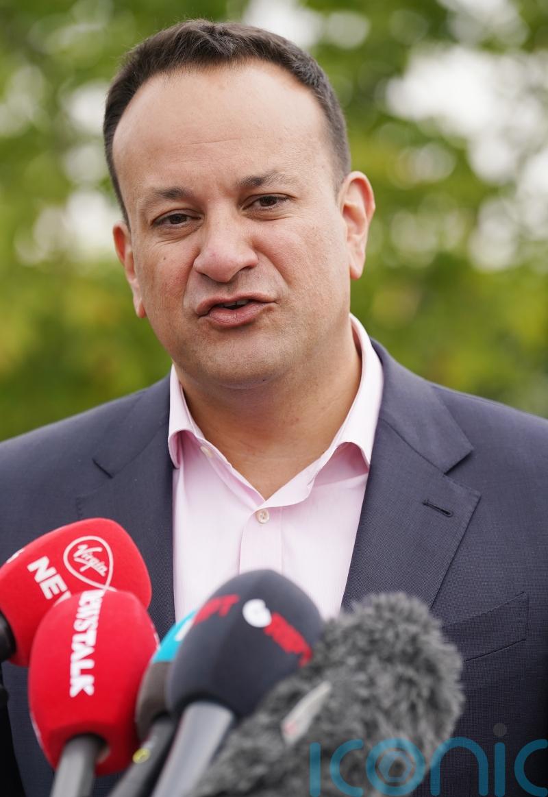 Independent review of abortion laws should not be treated as ‘gospel’ – Varadkar