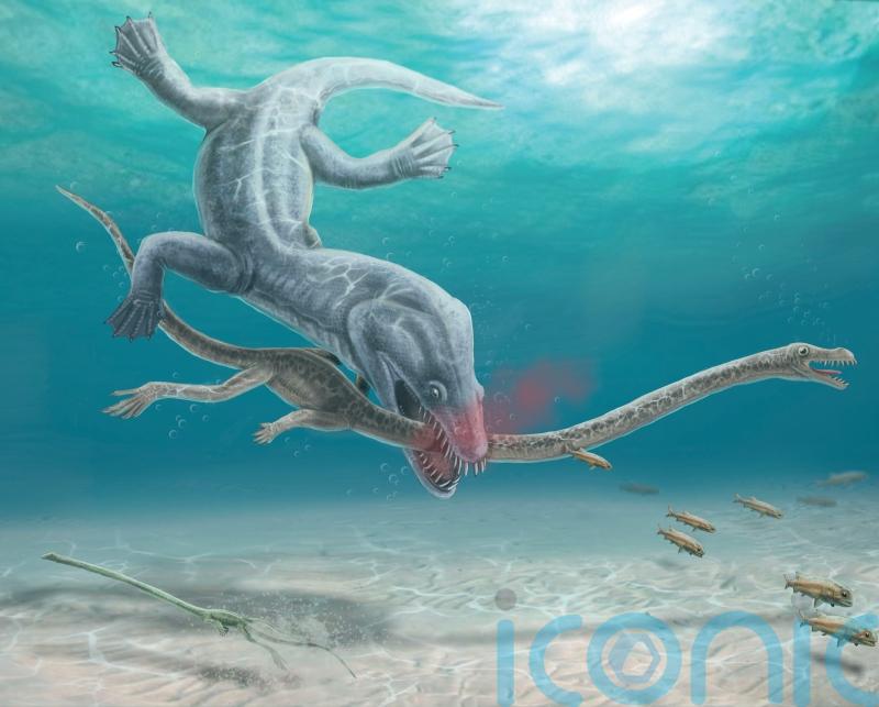 Pre-historic long-necked reptiles were decapitated by their predators, research suggests
