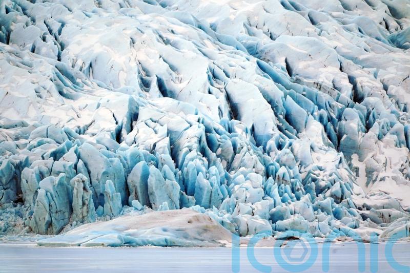Extreme weather may push ecosystems into collapse ‘much sooner’ than thought