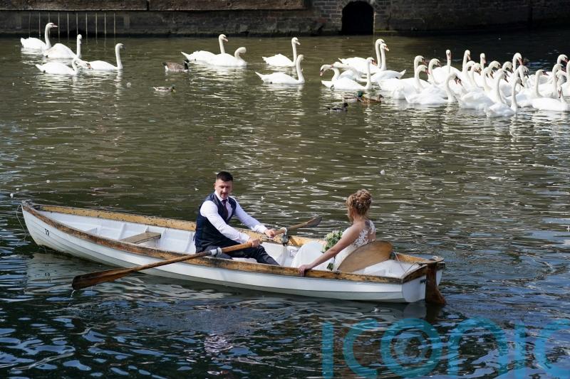 From reusing flowers to espresso martini towers, the biggest wedding trends to know