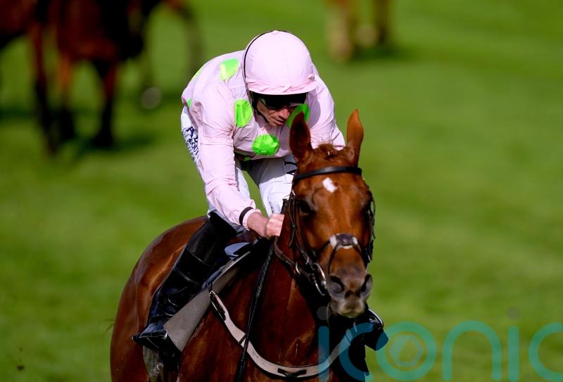 Willie Mullins-trained duo favoured by Melbourne Cup draw