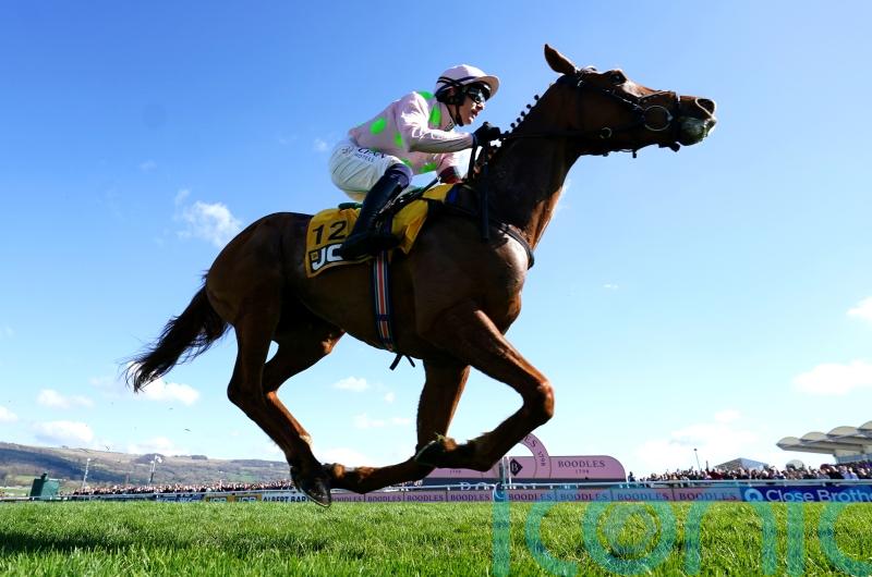 Willie Mullins’ Melbourne challenge ends in Vauban disappointment - Kilkenny Live