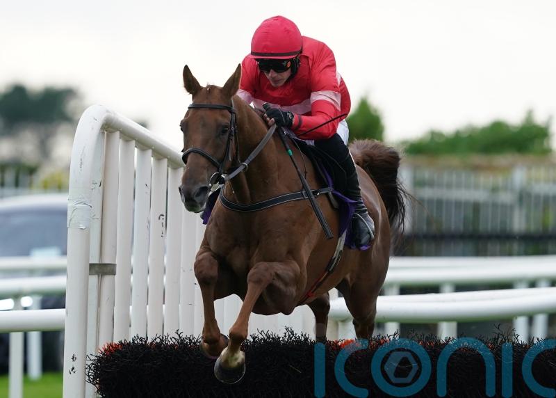 High Class Hero looks likely to be part of Willie Mullins’ Cheltenham Festival squad after fifth straight win