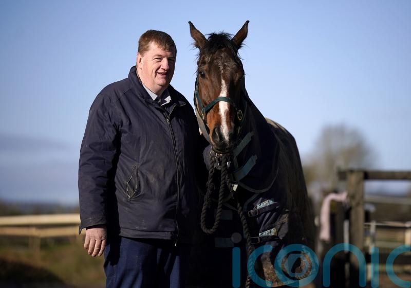 Cheltenham Festival on Shark alert as Kilkenny trainer and horse eyes Gold Cup prize