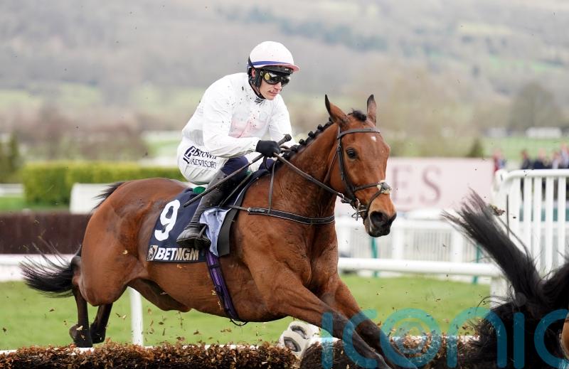 Absurde performance one to celebrate for Kilkenny's Willie Mullins