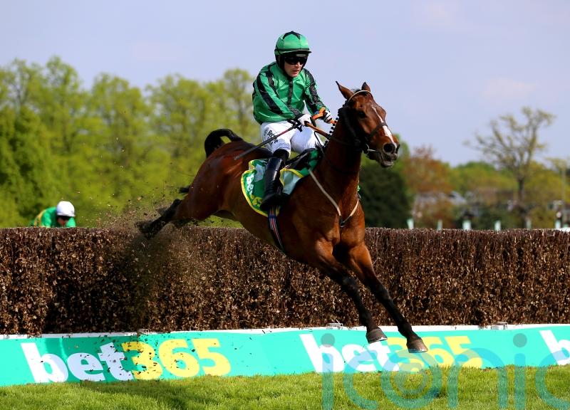 Kilkenny trainer Shark Hanlon sets sights on Aintree Bowl for Hewick