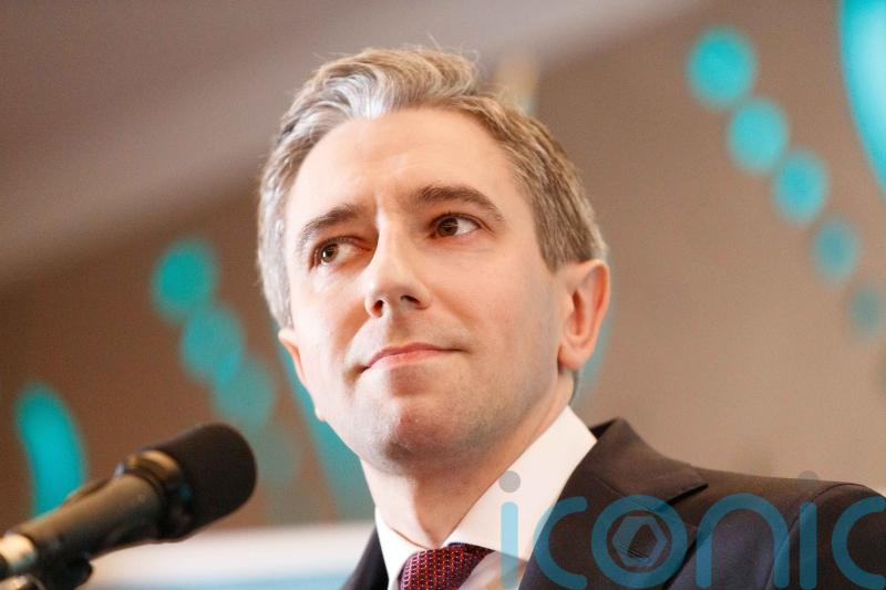 Coaltion Government should serve full term, new Fine Gael leader insists